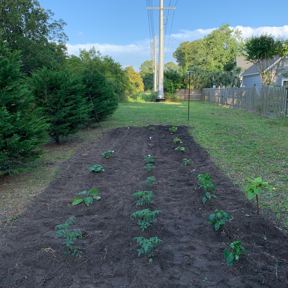 julie_eastman